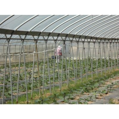 China Film Surface Material Multi-Span Agricultural Greenhouses IGreen Greenhouse for sale