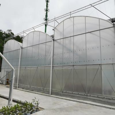 China Customized Length Film Type Greenhouse IGreen Tropical Hydroponic Sawtooth Greenhouse for sale