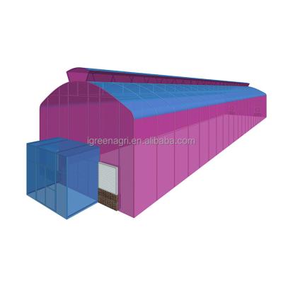 China Single Layer IGreen Wind Resistant Greenhouse Rain Shelter for Maximum Protection for sale