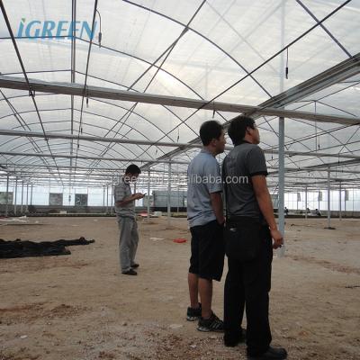 China Multi-Span Agricultural Greenhouses Hot Climate Cover with 150/200micron Plastic Film for sale