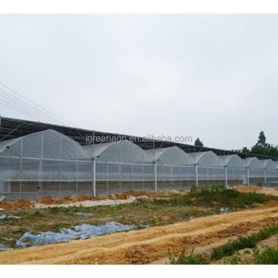 China High Tunnel Film Type Agriculture Greenhouse for Customizable Length Farming Demands for sale