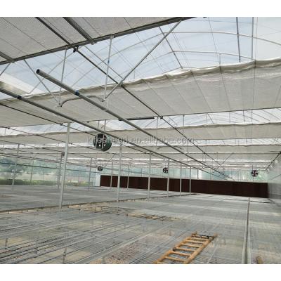 China 150/200micron Plastic Film Greenhouse Shade Cloth Roof Height 5-7 Meters Strawberry for sale