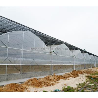 China Greenhouse Film Type IGreen with Extra Strong Steel Skeleton and Shoulder Height 2-5m for sale