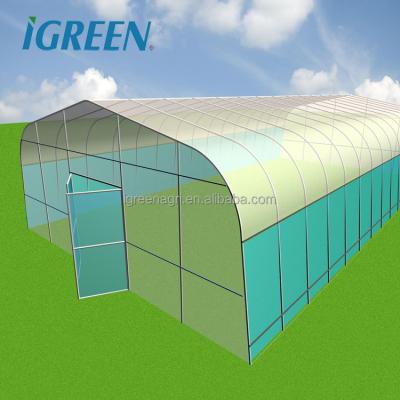 China IGREEN Plastic Film Agricultural Single Span Tunnel Greenhouse for Small-Scale Farming for sale