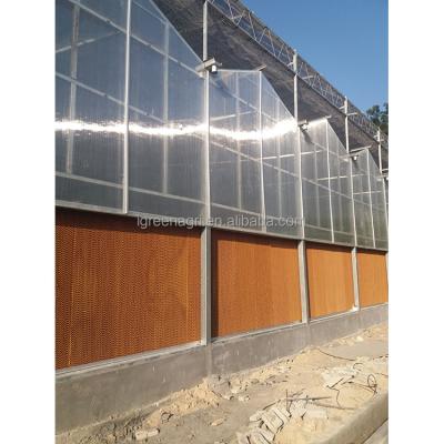 China IGreen Polycarbonate Greenhouse Panels for Flowers and Vegetables Customized Length for sale