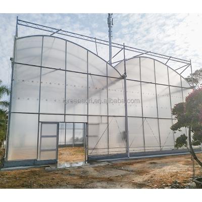 China Multispan Greenhouse with Top Vent and Customized Length Film Surface by IGreen for sale