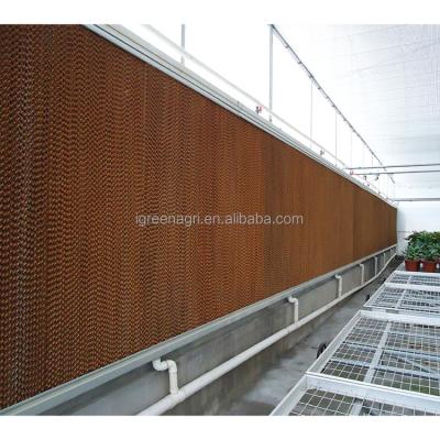 China IGREEN Green House Equipment Optimal for Tomato Growing in Roof Vent-Free Greenhouse for sale