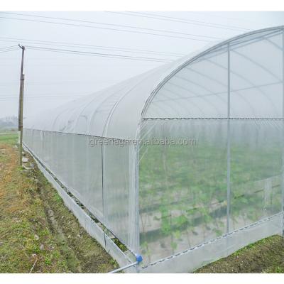 China 150/200micron Cover Material Greenhouse IGreen Single Tunnel Plastic Film Green House for sale