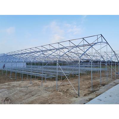 China Small IGreen Greenhouse for Tropical Climate Agricultural Plastic Film Surface Material for sale