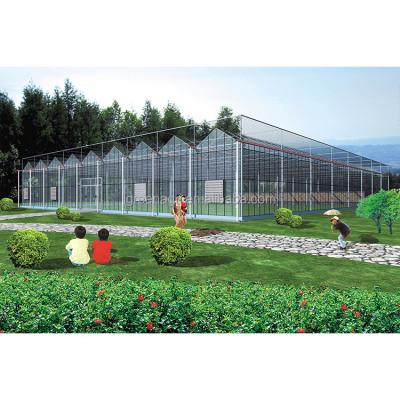 China Glass Covered Industrial Greenhouse with 3.73-7.73m Roof Height and Glass Panels for sale