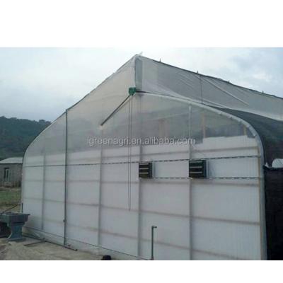 China Green Plastic Tunnel Greenhouse for Vegetable Cultivation 7-12m Width Single Layer for sale