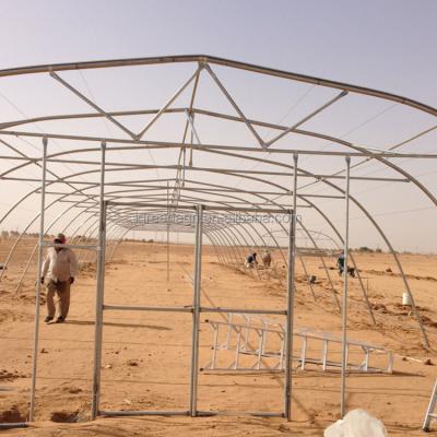 China IGreen Agricultural Greenhouse PE Cooling System Included with Galvanized Steel Vintage for sale