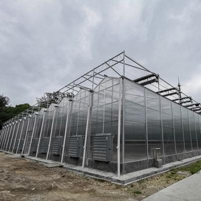 China Good Thermal Insulation Venlo Polycarbonate Sheet PC Panel Greenhouse for sale