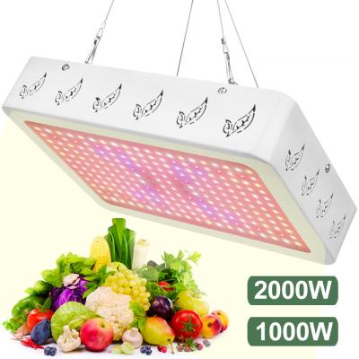 China Fruit Vegetable Greenhouse Flower Growing Lights 2000W LED Grow Light Indoor Full Spectrum Hydroponic Panel Lamp Flower Veg Plant for sale