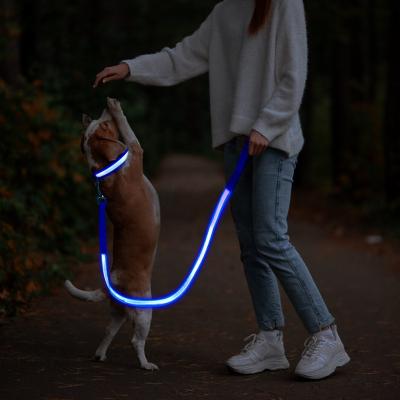 China New Arrival Factory Wholesale 2023 Led Night Lights USB Rechargeable Rechargeable Led Lighting Dog Leash for sale