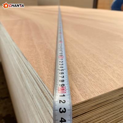 China modern high quality commercial plywood bs1088 okoume marine furniture plywood for sale