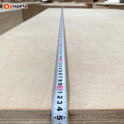 China Modern white birch plywood export to Mexico and white birch plywood and white birch plywood export to USA for sale