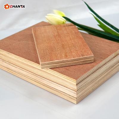 China Modern Linyi Factory Competitive Price Bintangor Commercial Plywood UK for sale