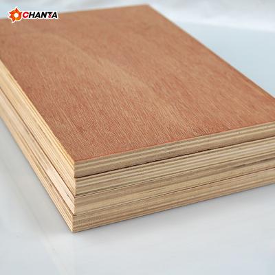 China Modern Bintangor Plywood Hardwood Plywood For Furniture Manufacturer for sale