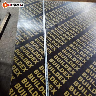 China Modern Phenolic Black Film Faced Plywood Panel Marine Plywood , Waterproof Film Faced Plywood Best Price for sale