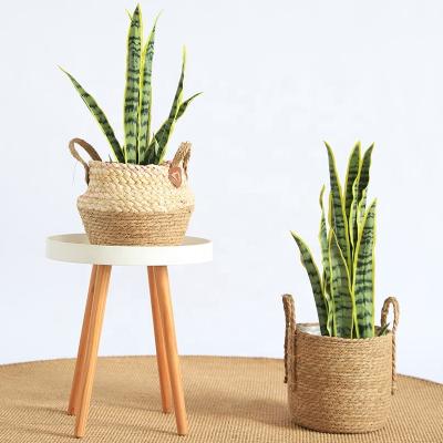 China Sustainable Hand - Woven Storage Basket Flower Basket Grass Woven Green Plant Potted for sale