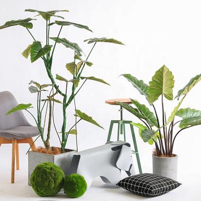 China Fake Tropical Taro Minimalist Artificial Rainforest Plant Rainbow Plants Bonsai Tree Plants for sale