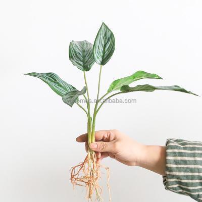 China Minimalist high quality manufacturers factory wholesale artificial fake leaves arrowroot leaves for sale