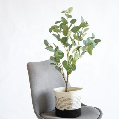 Китай Plant Eucalyptus Tree Homestay Window Decoration Contemporary Artificial Potted Nordic Eucalyptus Trees продается