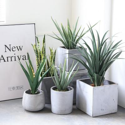 China Quality Transitional Artificial Plant Aloe Plant Garden Decor Potted Living Room en venta