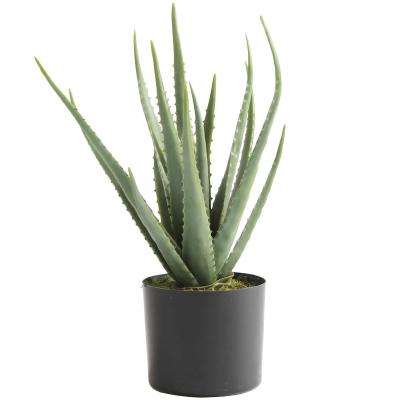 China Height 52cm Quality Plant Transitional Artificial Aloe Plant Garden Decor Potted Living Room GL-6811 en venta