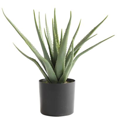 Китай Height 63cm Quality Transient Artificial Plant Aloe Plant Garden Decor Potted Living Room GL-6810 продается