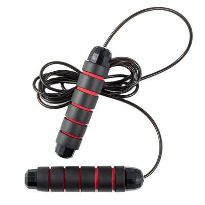 China ABS Handle Skipping Rope, Skipping Rope With Counter, Jump Rope Skipping PU Rope for sale