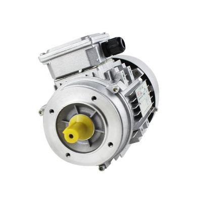 China 1.1kw 1.5hp Drip Proof Aluminum Housing Asynchronous Motor 3 Phase Induction Electric Motor YS Series for sale