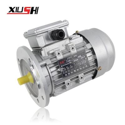 China 0.55KW 0.75HP Gear Drip Proof Aluminum Housing Three Phase Asynchronous Motor YS7122 for sale