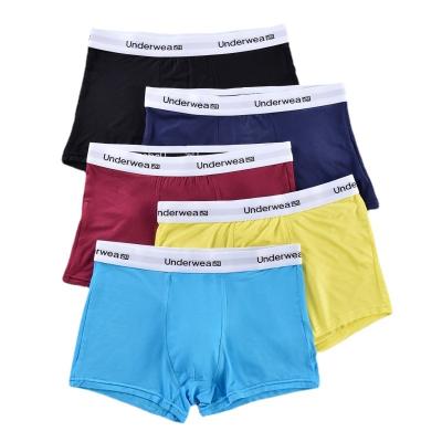 China Breathable CINVIK Men Boxers Underwear Sleep Underpants Men Panties Shorts Boxer Shorts Comfortable Panties Plus Size Boxershorts for sale