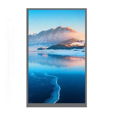 China 10.1 Inch Portrait IPS MIPI 31 Pin 500cd/m2 TFT LCD Display Panel 800x1280 10.1 Inch for sale