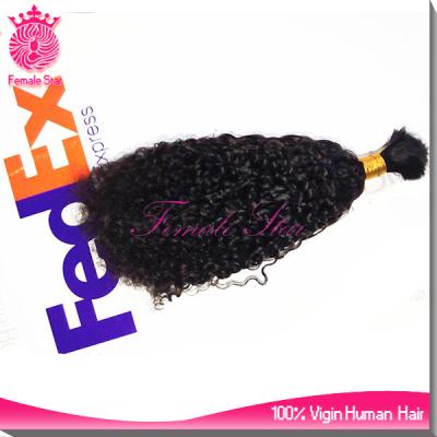 China Wholesale Bulk Curly Hair Extensions Female Star Loop Human Braiding Hair Volume No Weft for sale