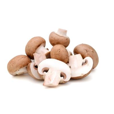 China 100%Nature Fresh and Delicious Fresh Cremini Sprinkle Fresh Mushrooms for Sale for sale