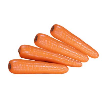 China Chinese Fresh Carrot S M L New 2L 3L Shandong Culture Qingdao High Vitamin Port for sale