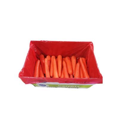 China High Vitamin Carrot Fresh Organic High Quality Culture Frozen New Supplier For Wholesale Fresh Carrot for sale