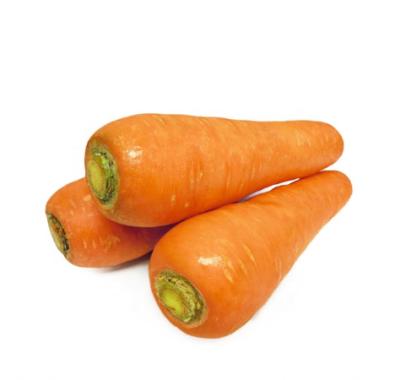 China Good Quality High Vitamin Carrots Newest Chinese Fresh Carrot Culture In Carton Fresh Vegetables Organic Carrot for sale