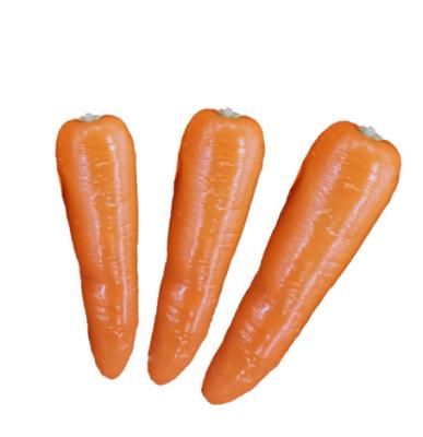 China Best Price Fresh Carrots For Wholesale Export Chinese Natural Fresh Carrots for sale