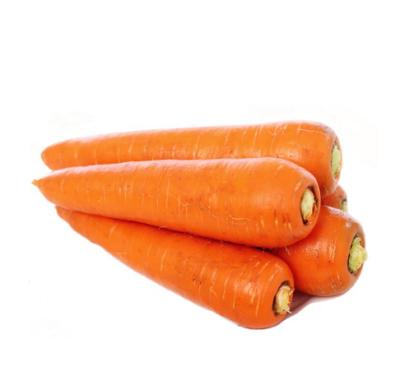 China 2022 quality fresh promotional import fresh carrots 100% organic fresh carrots for sale