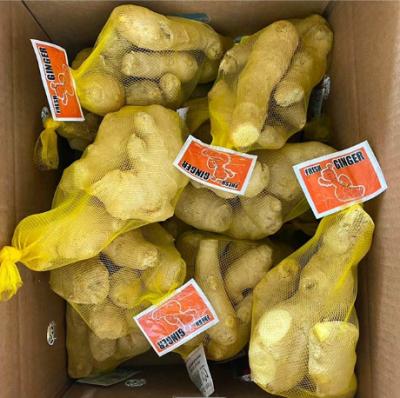 China High Quality Low Price Organic Dry Ginger Fresh Ginger In Mesh Bag China Fresh Ginger For Wholesale for sale