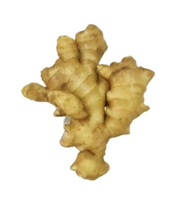 China Fresh Fresh Ginger 100g Up Ginger Price Cheap In Pakistan Market for sale