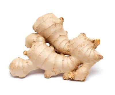 China Fresh Fresh Ginger 150g Up 5kgs PVC Packing Ginger In Dubai Market for sale