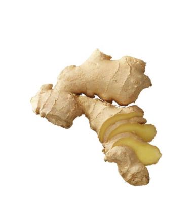 China Newest culture best quality chinese professional anqiu fresh ginger fresh ginger ginger export fresh ginger for sale