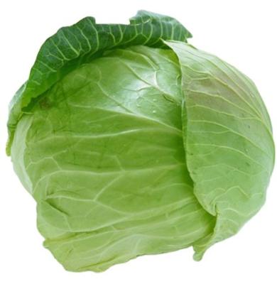 China Healthy Fresh Vegetable Chinese Cabbage For Sale, Cheap Price Fresh Round Cabbage Peking Green Cabbage for sale