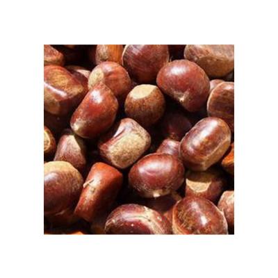 China China Manufacture Quality Fresh Top Grade Sweet Fresh Chestnut for sale