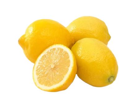 China High Quality Sour Juicy Yellow Lemons Lime Count Citrus Natural Fresh Lemon From China for sale